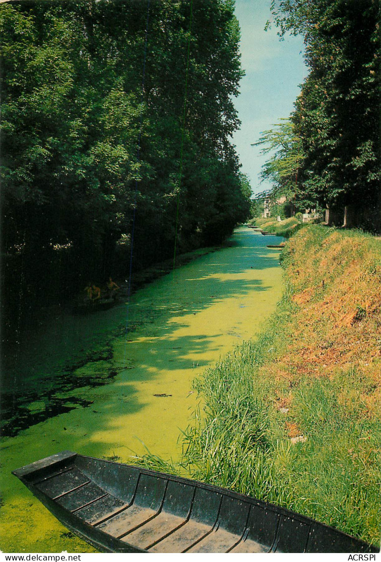 Une Conche à  Arcais  DEUX SEVRES 79 Marais Poitevin Venise Verte  60 (scan Recto-verso)MA2286Ter - Niort