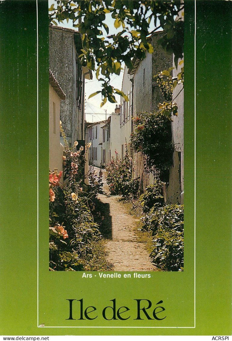 ILE DE Ré   Ars En Ré   Venelle En Fleurs   7   (scan Recto-verso)MA2287Ter - Ile De Ré