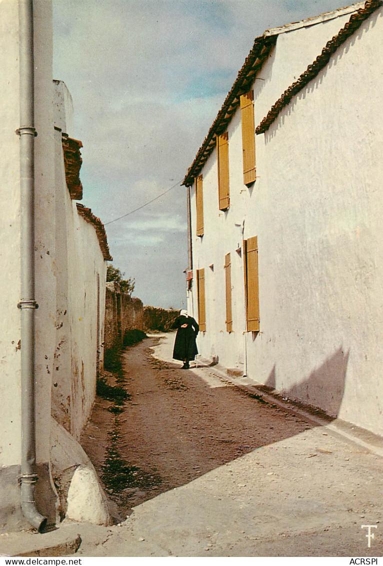 ILE DE Ré   Ars En Ré   Venelle  Blanche  8   (scan Recto-verso)MA2287Ter - Ile De Ré