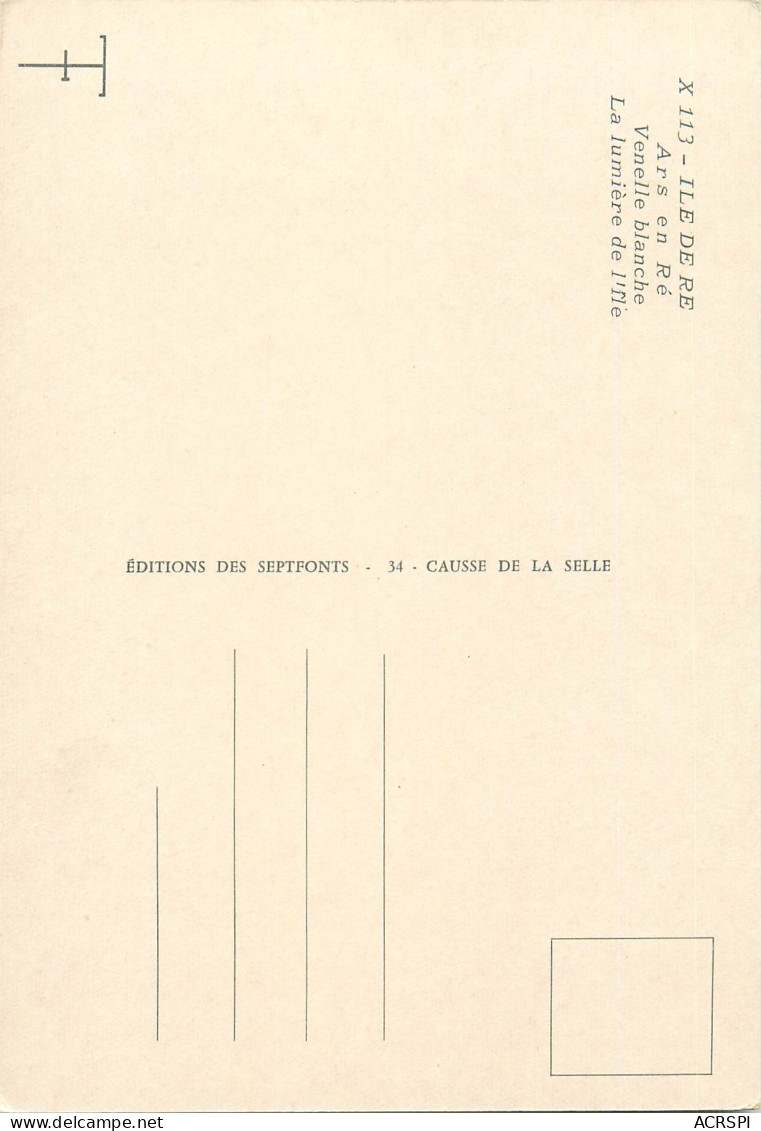 ILE DE Ré   Ars En Ré   Venelle  Blanche  8   (scan Recto-verso)MA2287Ter - Ile De Ré