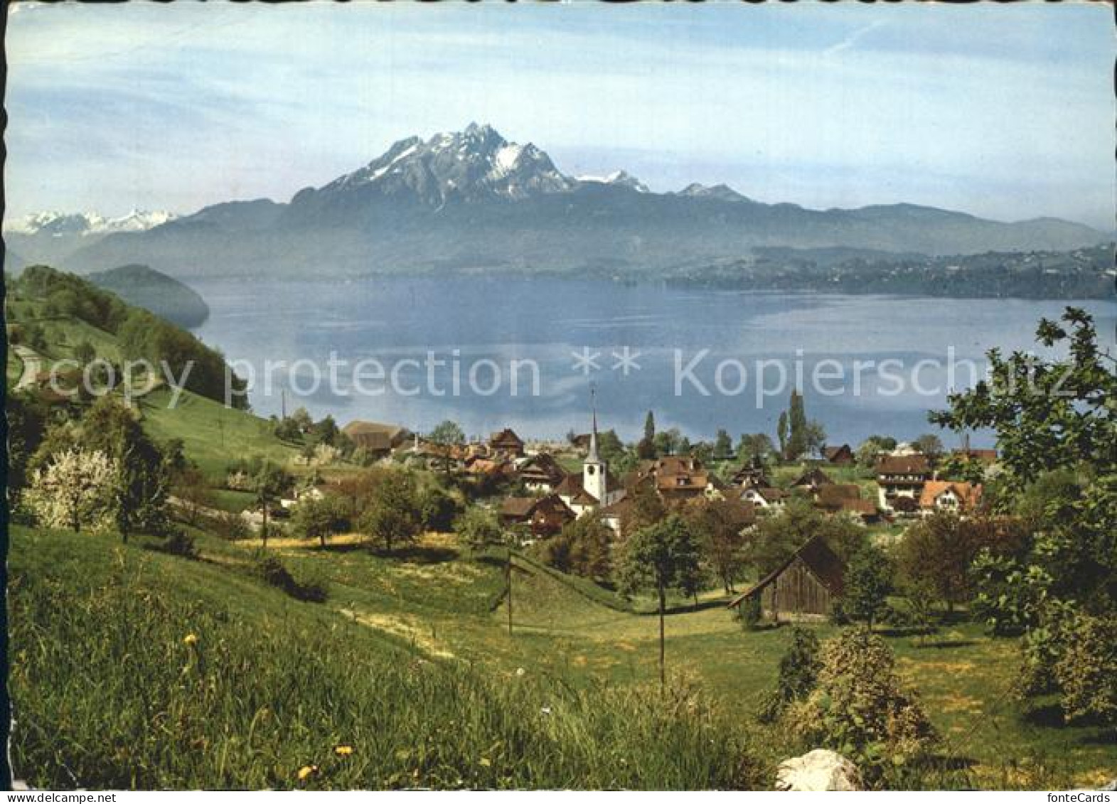 12245261 Greppen Vierwaldstaettersee Greppen - Other & Unclassified