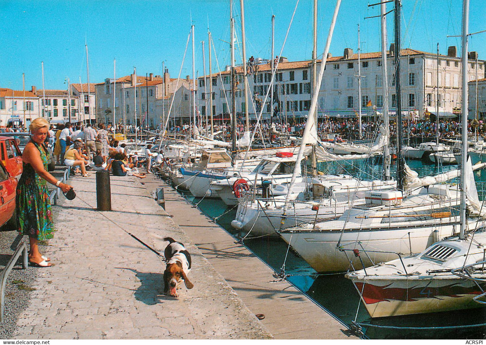 SAINT MARTIN DE Ré   Le Bassin à Flot  30 (scan Recto-verso)MA2287Ter - Saint-Martin-de-Ré