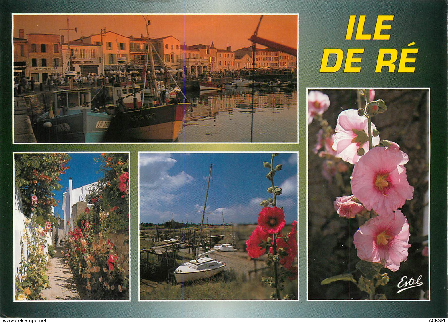 ILE DE Ré  Multivue   St Martin 45 (scan Recto-verso)MA2287Ter - Saint-Martin-de-Ré