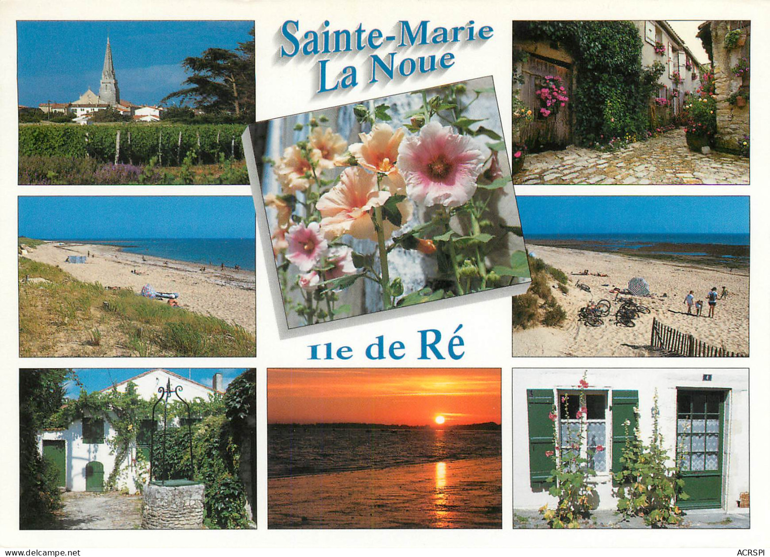 ILE DE Ré  Sainte Marie La Noue  11 (scan Recto-verso)MA2288 - Ile De Ré