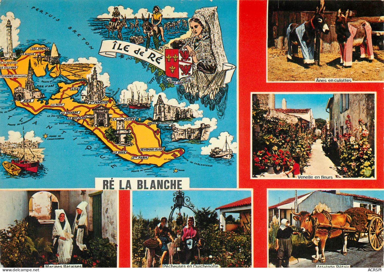 ILE DE Ré  Carte Map Anes Attelage Venelles Kissnot   30 (scan Recto-verso)MA2288 - Ile De Ré