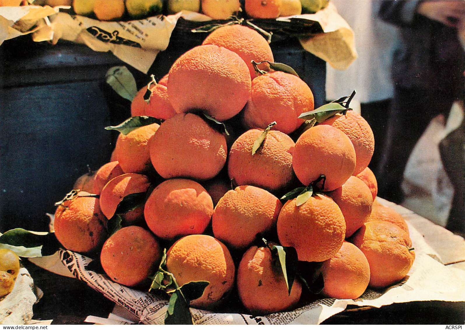 Recette  Les  Oranges De NABEUL Tunisie  24   (scan Recto-verso)MA2288Bis - Recettes (cuisine)
