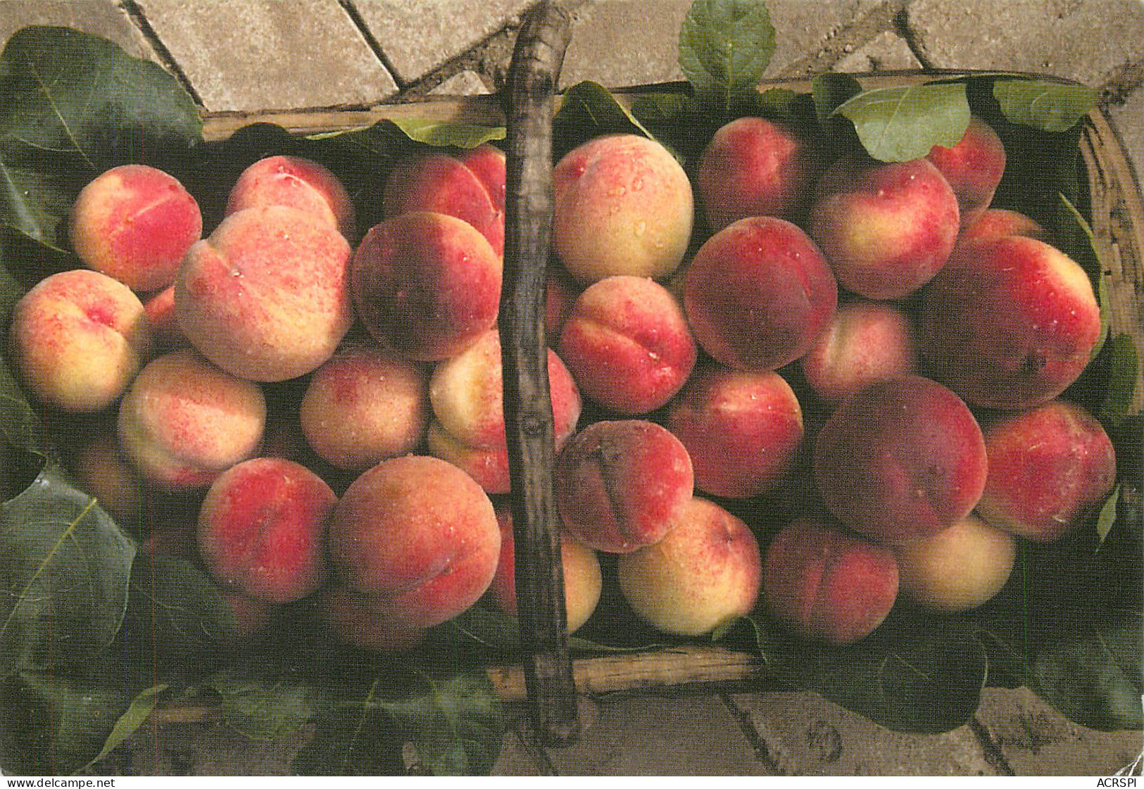 Recette  Peches PEACH Basket  The Lost Gardens Of HELIGAN Fruits   44  (scan Recto-verso)MA2288Bis - Küchenrezepte