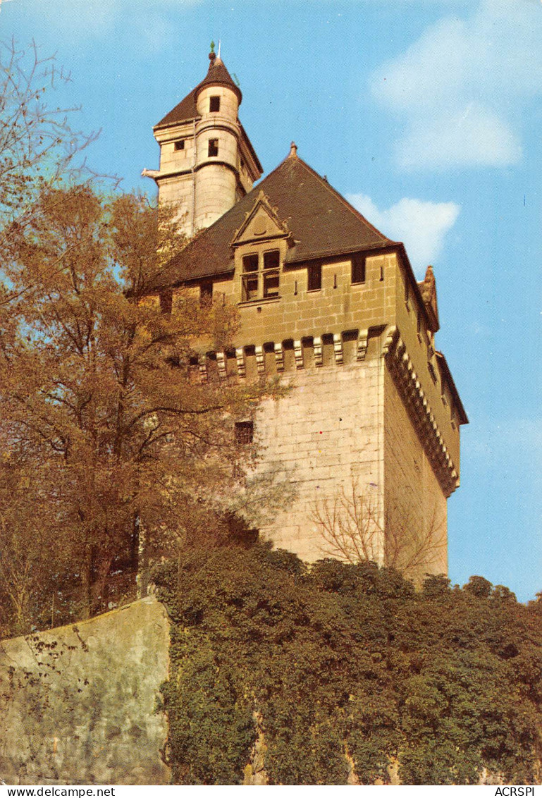 CHAMBERY   Tour Carrée Et échauguette  33 (scan Recto-verso)MA2290Bis - Chambery