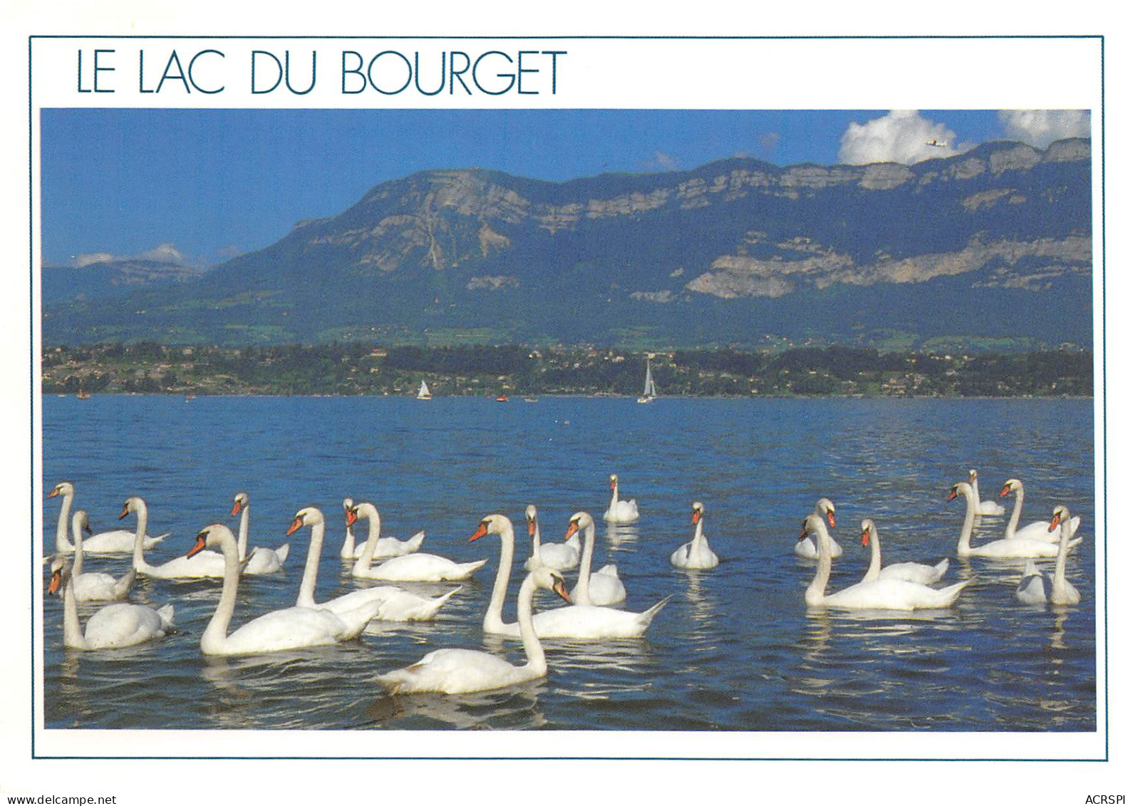 AIX LES BAINS  Les CYGNES Au Lac Du Bourget  Savoie   12 (scan Recto-verso)MA2291 - Aix Les Bains