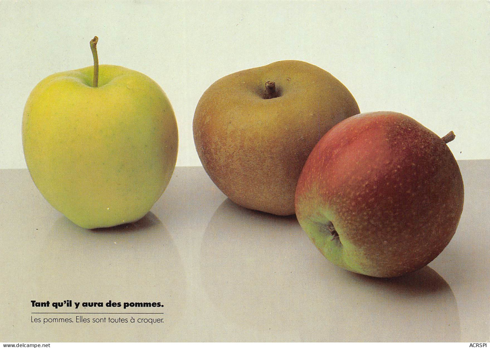 Recette  Divers Pommes  44 (scan Recto-verso)MA2293 - Recettes (cuisine)