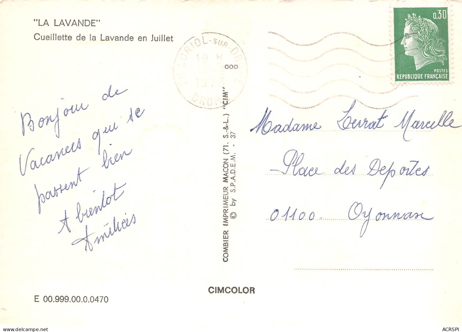  Femme  Cueillant La Lavande Provencale En Juillet    10 (scan Recto-verso)MA2293Und - Women