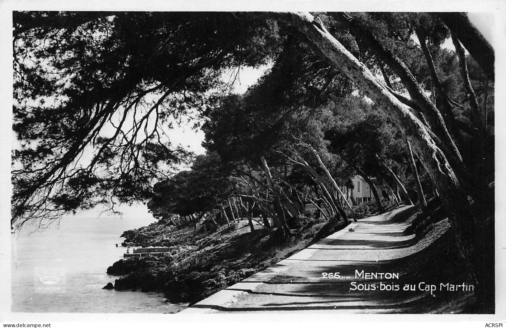 Roquebrune-Cap-Martin Le Sous Bois  24 (scan Recto-verso)MA2294Bis - Roquebrune-Cap-Martin