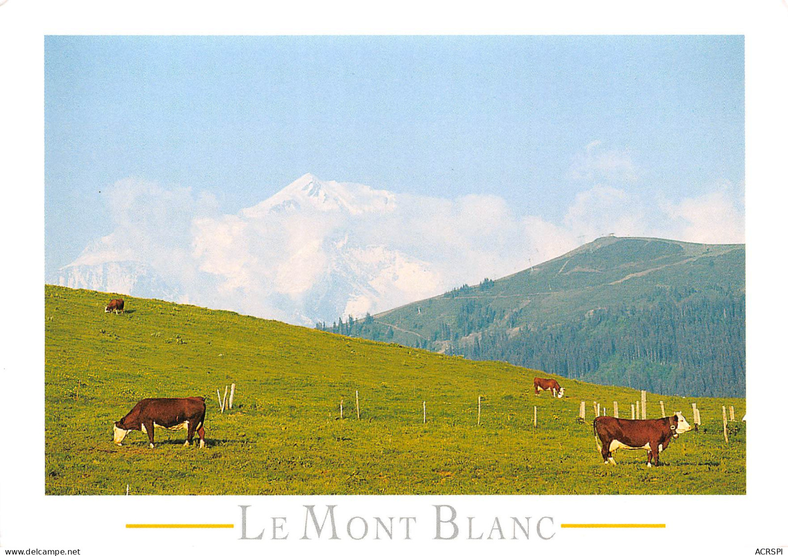 Paturages Au Col Des ARAVIS Coté  Ouest Et Mont Blanc  33  (scan Recto-verso)MA2295 - Thônes