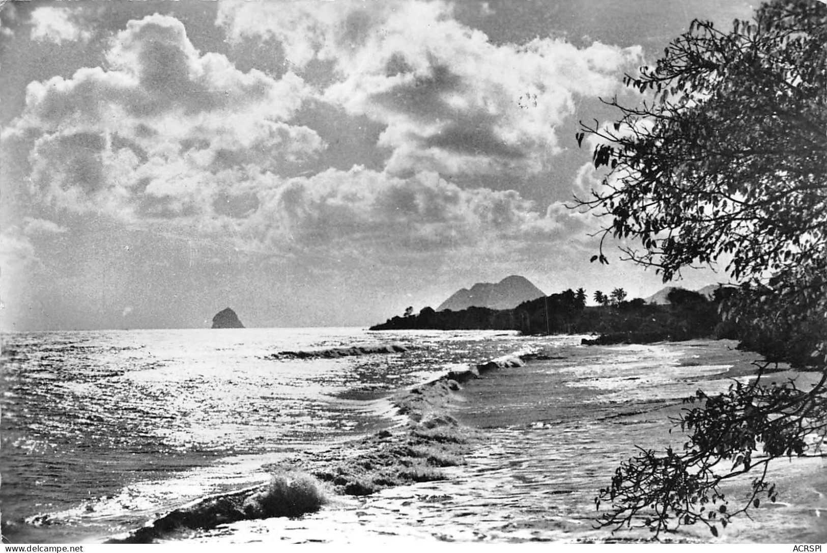 MARTINIQUE  Paysage Du Sud  40 (scan Recto-verso)MA2295 - Le Marin