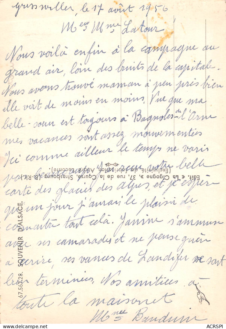 Souvenir D'ALSACE Cigognes Et Bébés   1   (scan Recto-verso)MA2295Bis - Selestat