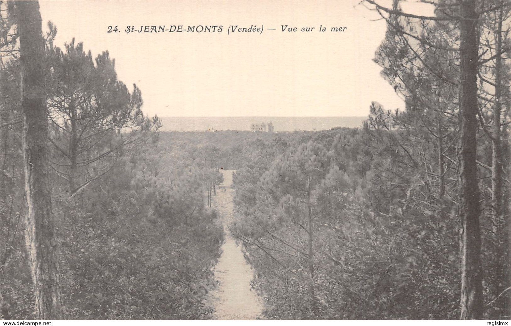 85-SAINT JEAN DE MONTS-N°T1044-B/0023 - Saint Jean De Monts