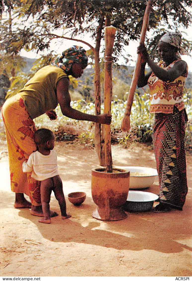 CAMEROUN  MOLOKO Préparatifs De Repas  44 (scan Recto-verso)MA2295Und - Kamerun