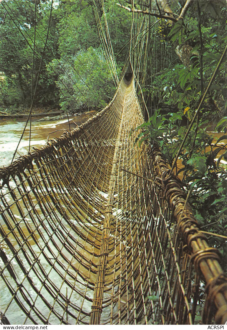 GABON Le Pont De Lianes De POUBARA  48 (scan Recto-verso)MA2295Und - Gabon