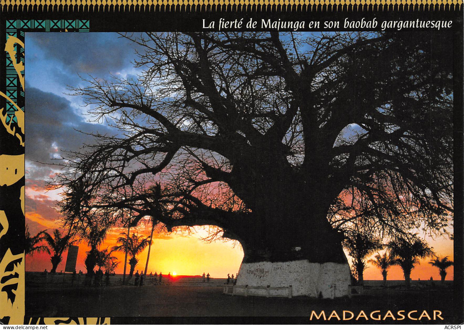 MADAGASCAR Baobab à MAJUNGA  ANTANANARIVO  Tananarive 4   (scan Recto-verso)MA2296 - Madagaskar