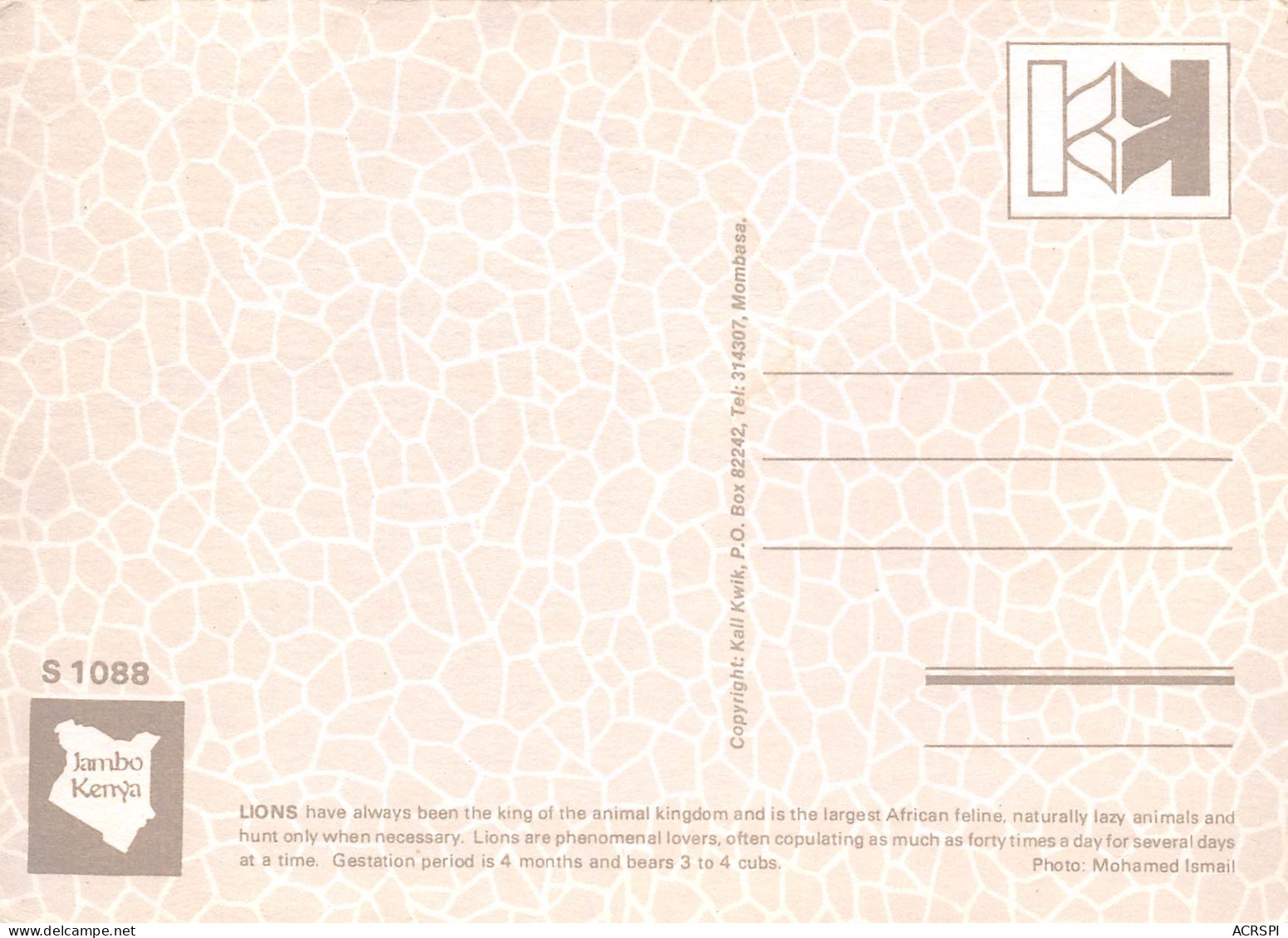 KENYA  Lions  32 (scan Recto-verso)MA2296 - Kenia