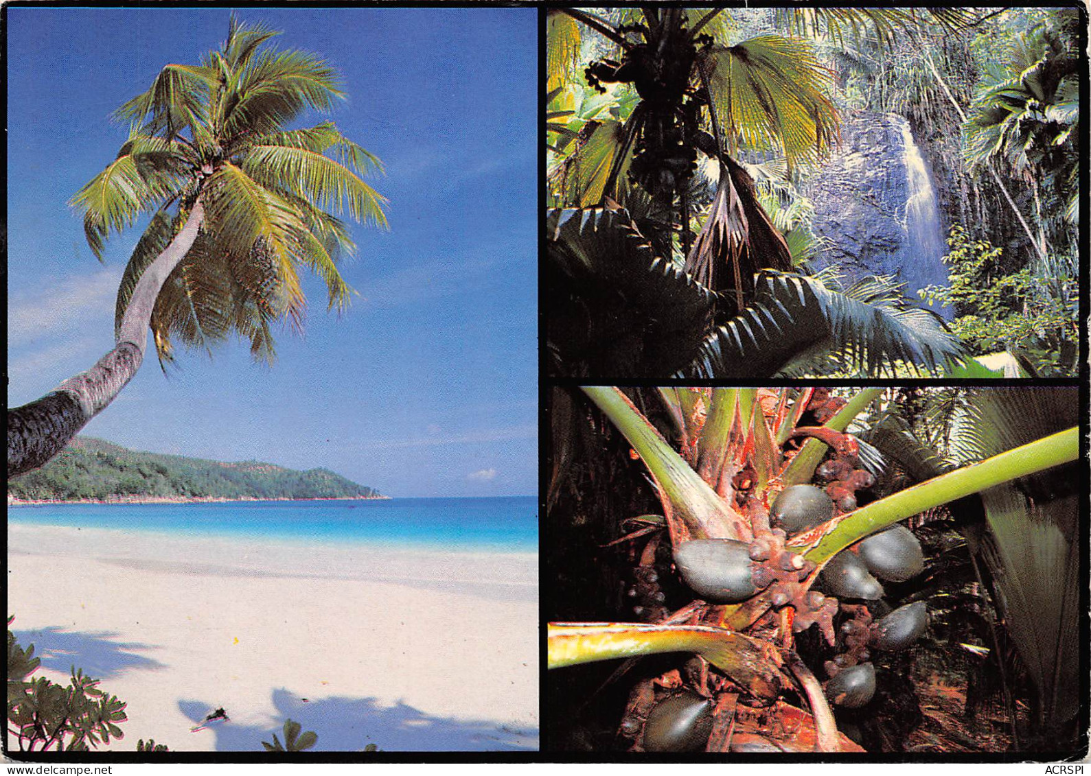 SEYCHELLES  Anse Intendance Mahe  Praslin  45 (scan Recto-verso)MA2296 - Seychellen