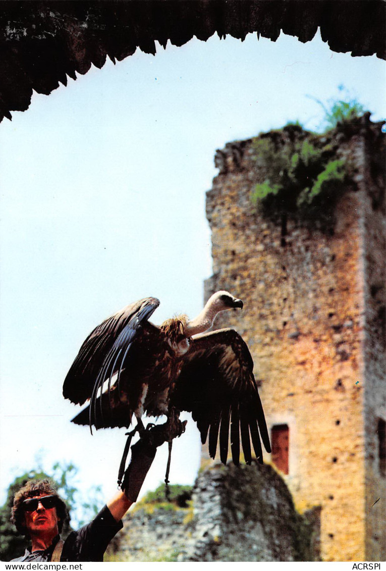 BEAUCENS Donjon Des Aigles  Retour Du VAUTOUR FAUVE   8   (scan Recto-verso)MA2297Und - Other & Unclassified