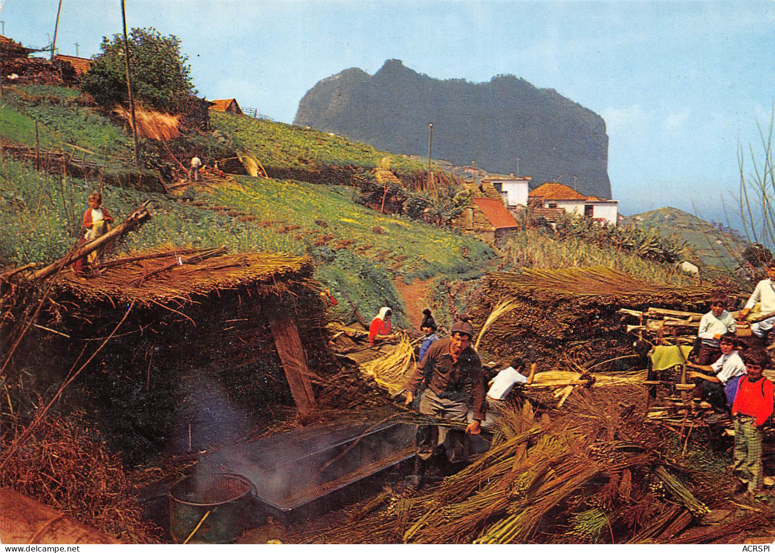 MADEIRA Madère Cena Rural Preparacao De VIMES OSIERS   33  (scan Recto-verso)MA2297Vic - Madeira