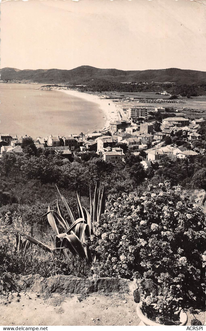 LE LAVANDOU  Corniche Des Maures  25  (scan Recto-verso)MA2297Vic - Le Lavandou