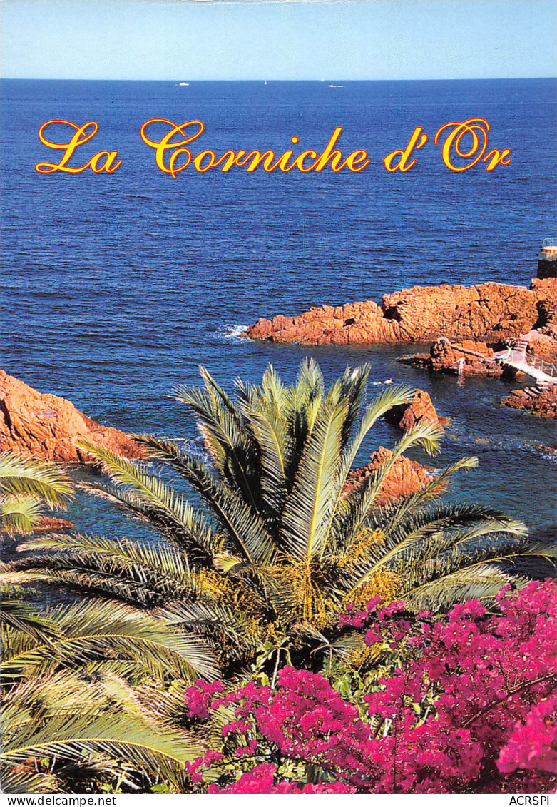 Saint-Raphaël Le Trayas La Corniche D'or  28  (scan Recto-verso)MA2297Vic - Saint-Raphaël