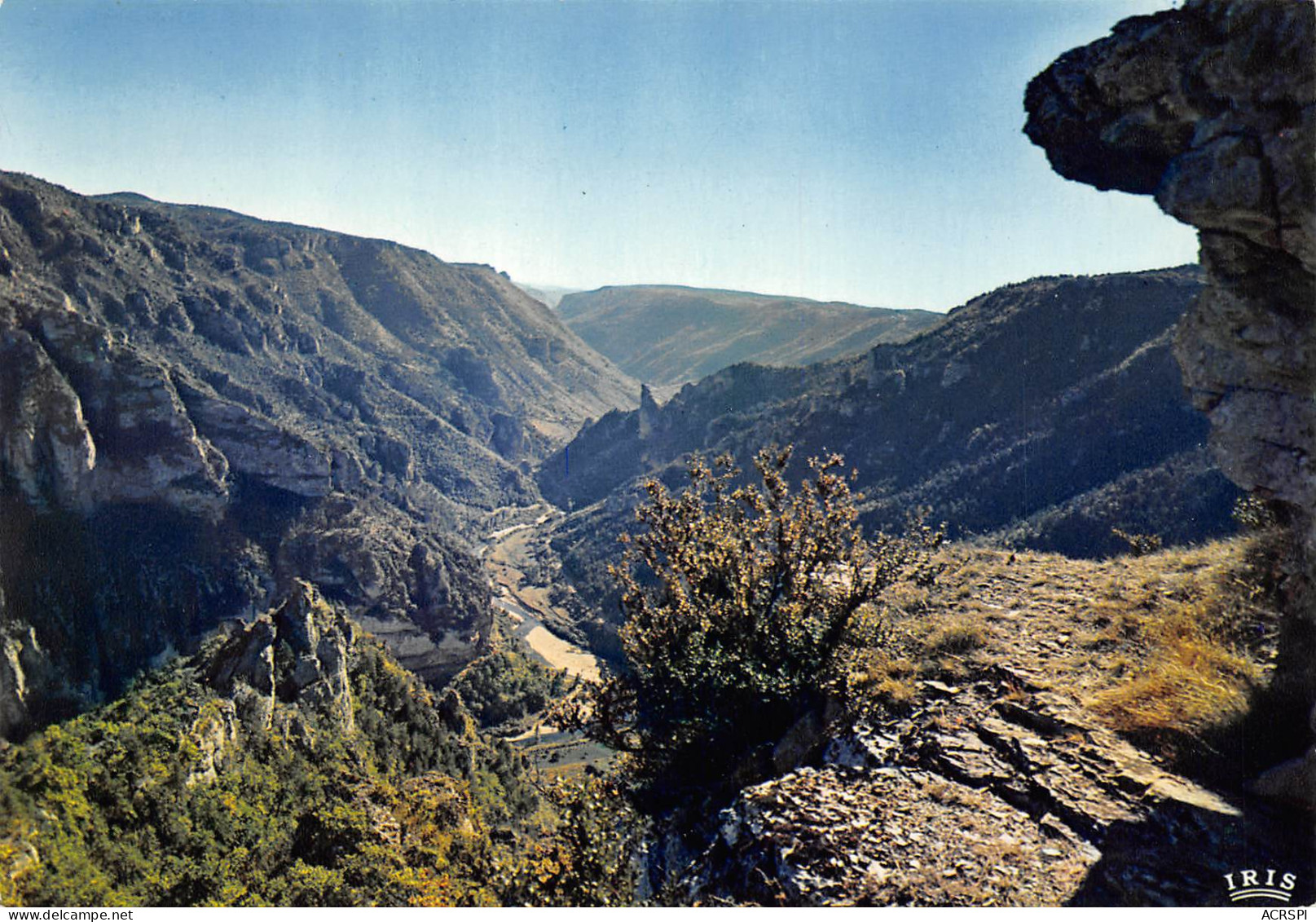 Gorges Du Tarn  Point Sublime   9  (scan Recto-verso)MA2298Ter - Gorges Du Tarn