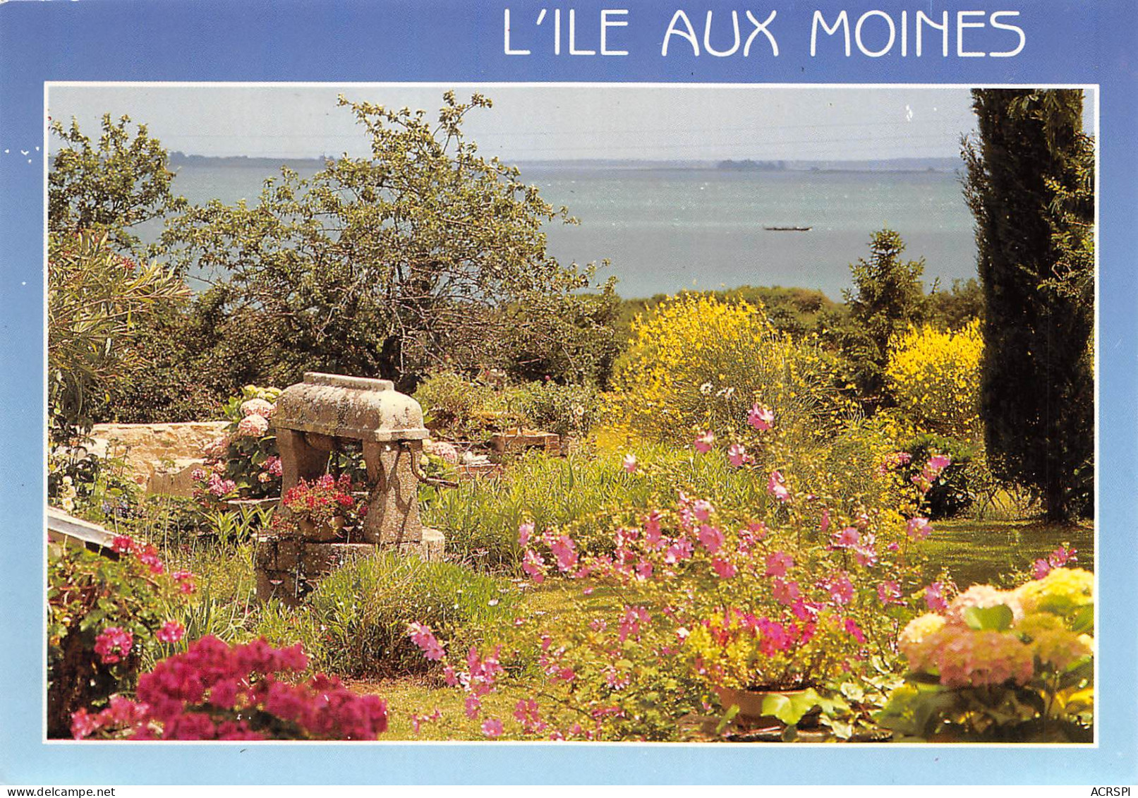 Ile Aux Moines  Jardin Fleuri  16  (scan Recto-verso)MA2298Und - Ile Aux Moines