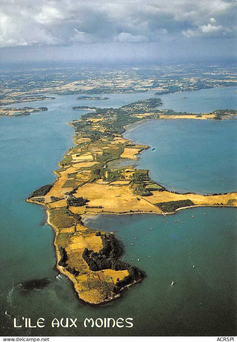 Ile Aux Moines Pointe Du Trech Et Pointe De Pen Hap 18  (scan Recto-verso)MA2298Und - Ile Aux Moines