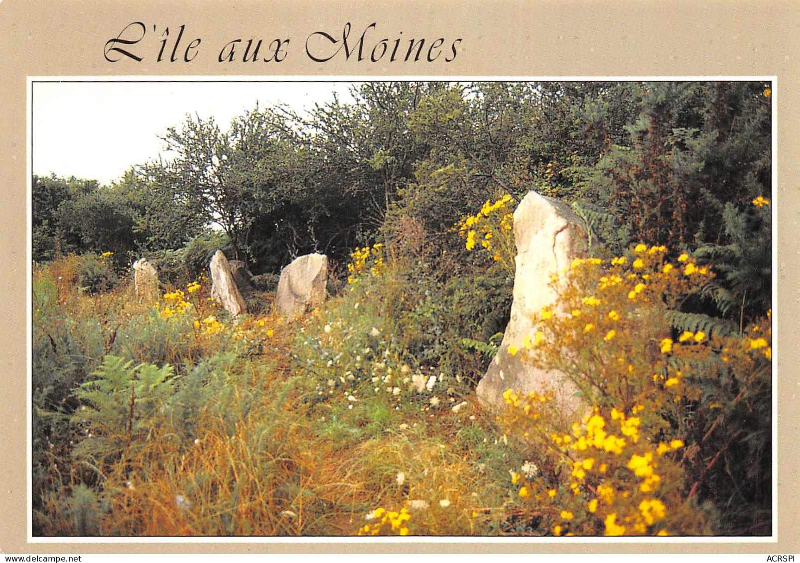 Ile Aux Moines  Izenah  20  (scan Recto-verso)MA2298Und - Ile Aux Moines