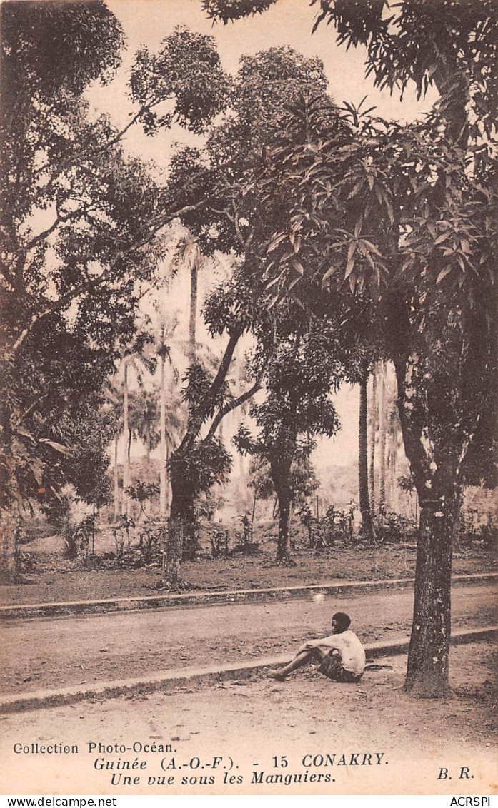 GUINEE CONAKRY  Une Vue Sous Les Palmiers  55 (scan Recto-verso)MA2298Vic - French Guinea