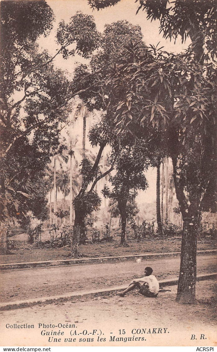 GUINEE CONAKRY  Une Vue Sous Les Palmiers  55 (scan Recto-verso)MA2298Vic - Guinée Française