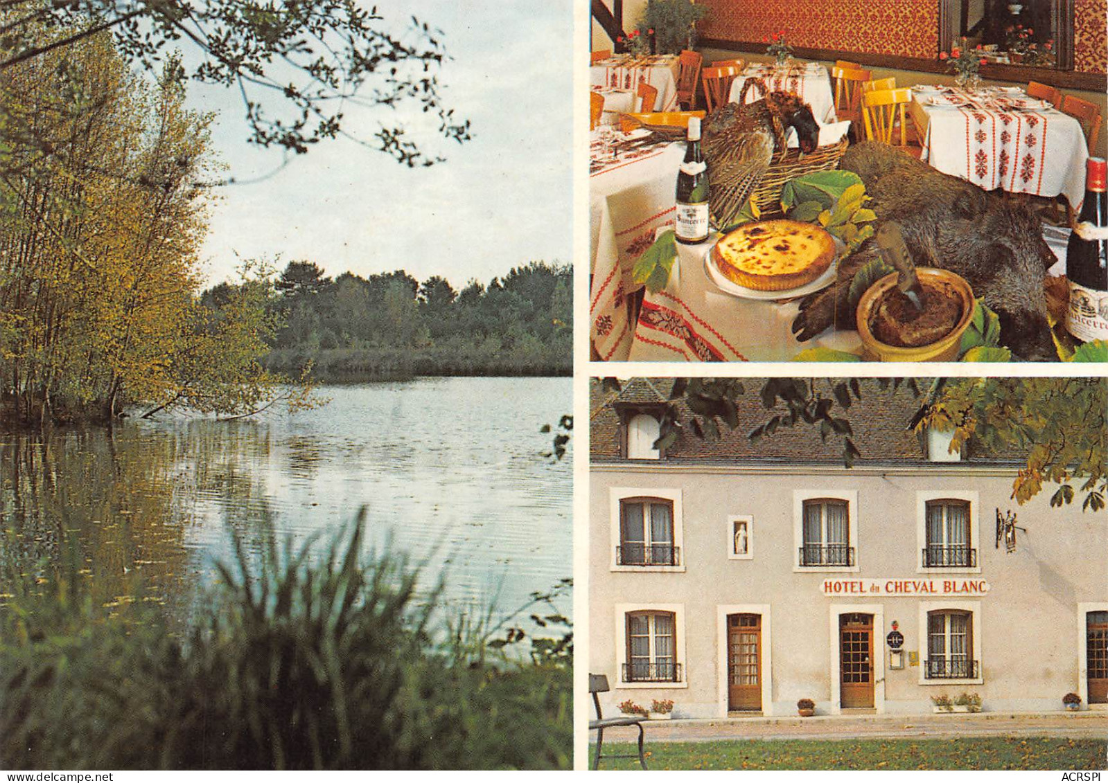 AUBIGNY Sur NEVE Hotel Restaurant LE CHEVAL BLANC Sainte Montaine  11   (scan Recto-verso)MA2299 - Aubigny Sur Nere