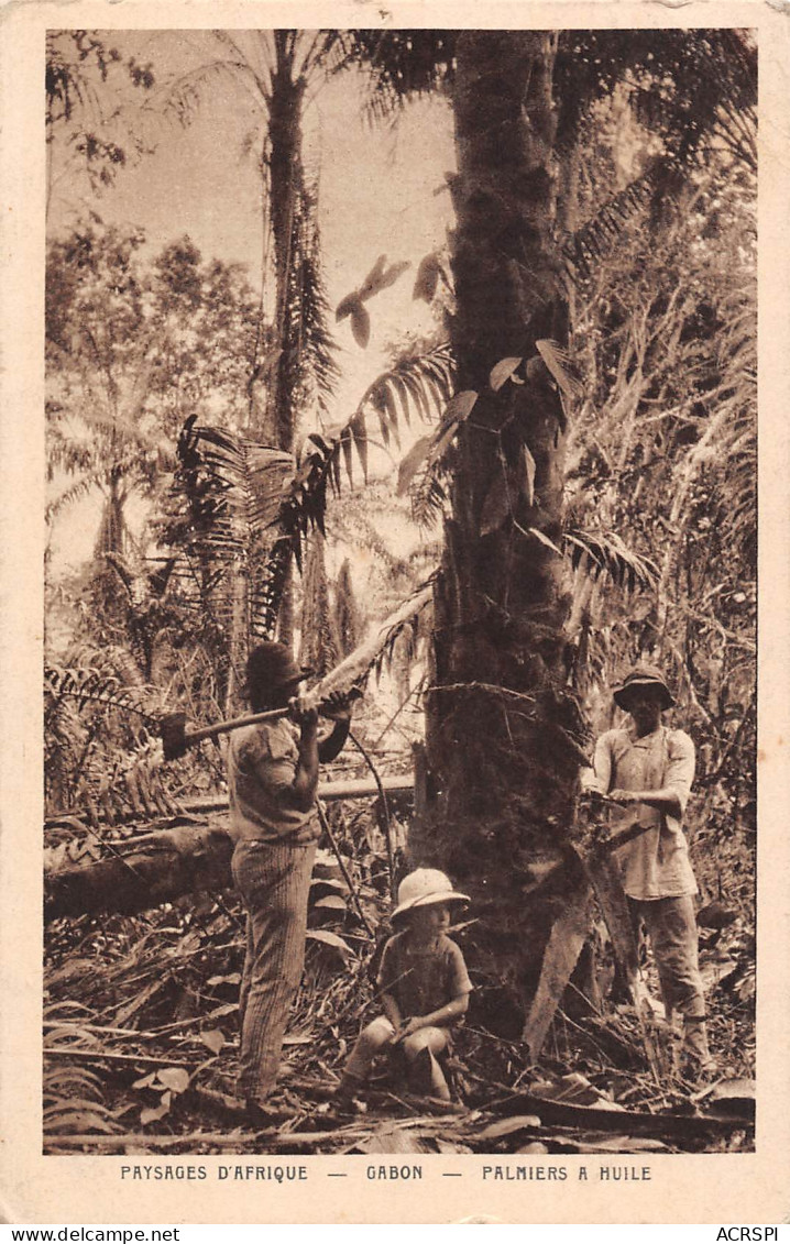 GABON  Palmiers à Huile  13 (scan Recto-verso)MA2299Bis - Gabón