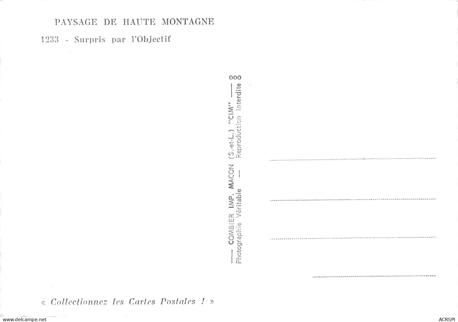 Isard Chamois Pyrénées Izardo  25 (scan Recto-verso)MA2299Und - Altri & Non Classificati