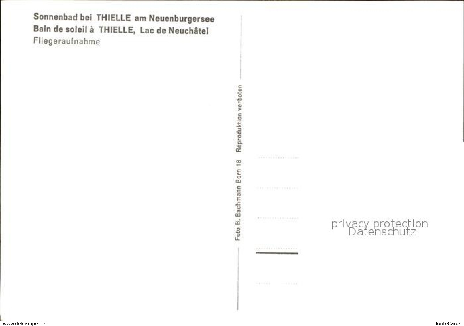 12174131 Thielle Fliegeraufnahme Am Neuenburgsee Thielle - Autres & Non Classés
