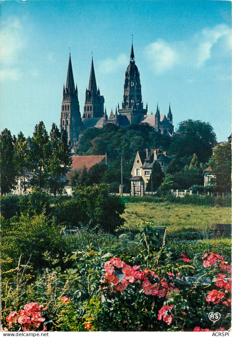 BAYEUX La Cathedrale Notre Dame 17(scan Recto-verso) MC2402 - Bayeux