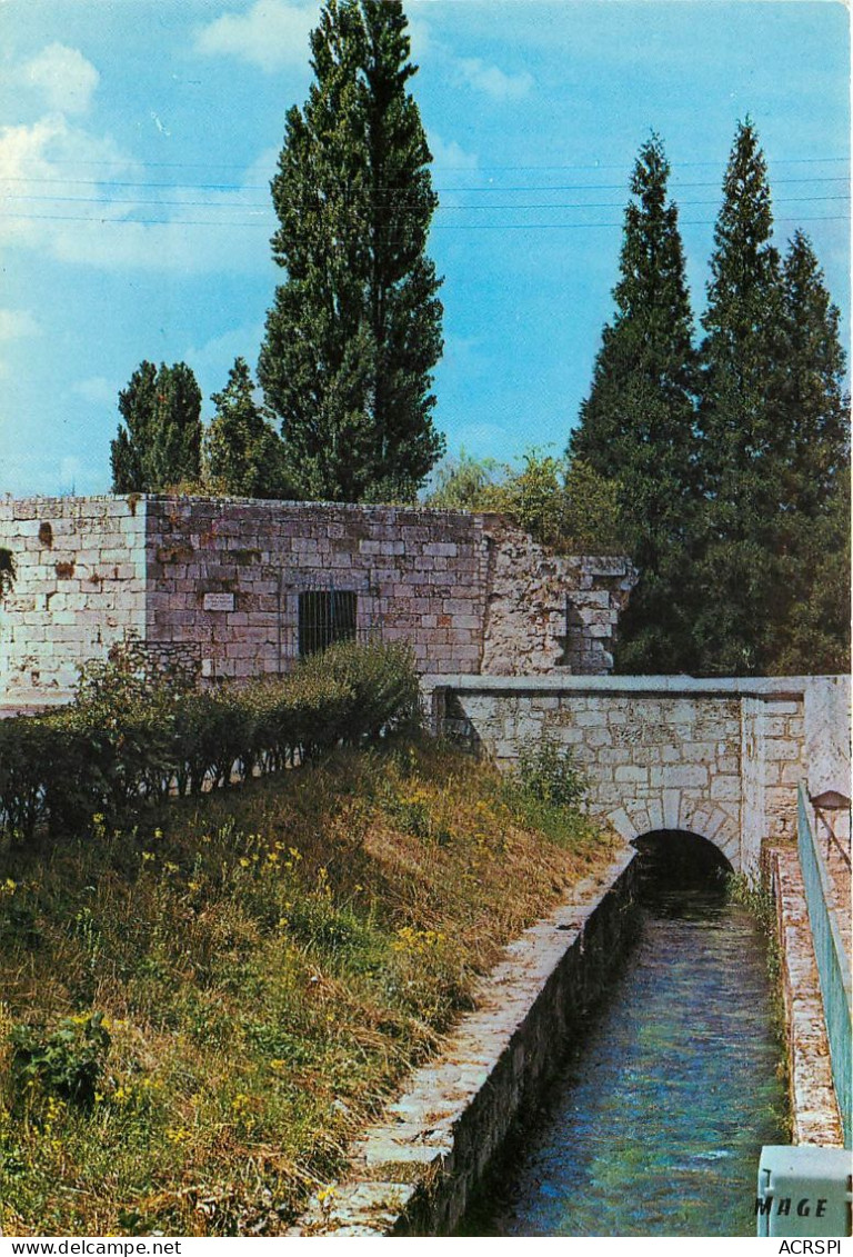 CAUDEBEC EN CAUX Tour D Harfleur Vestiges Des Anciennes Fortifications 13(scan Recto-verso) MC2469 - Caudebec-en-Caux