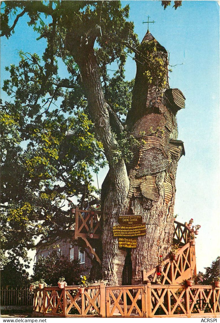 ALLOUVILLE BELLEFOSSE Le Vieux Chene Dont Le Tronc Evide Renferme Deux Chapelles Superposees 23(scan Recto-verso) MC2495 - Allouville-Bellefosse