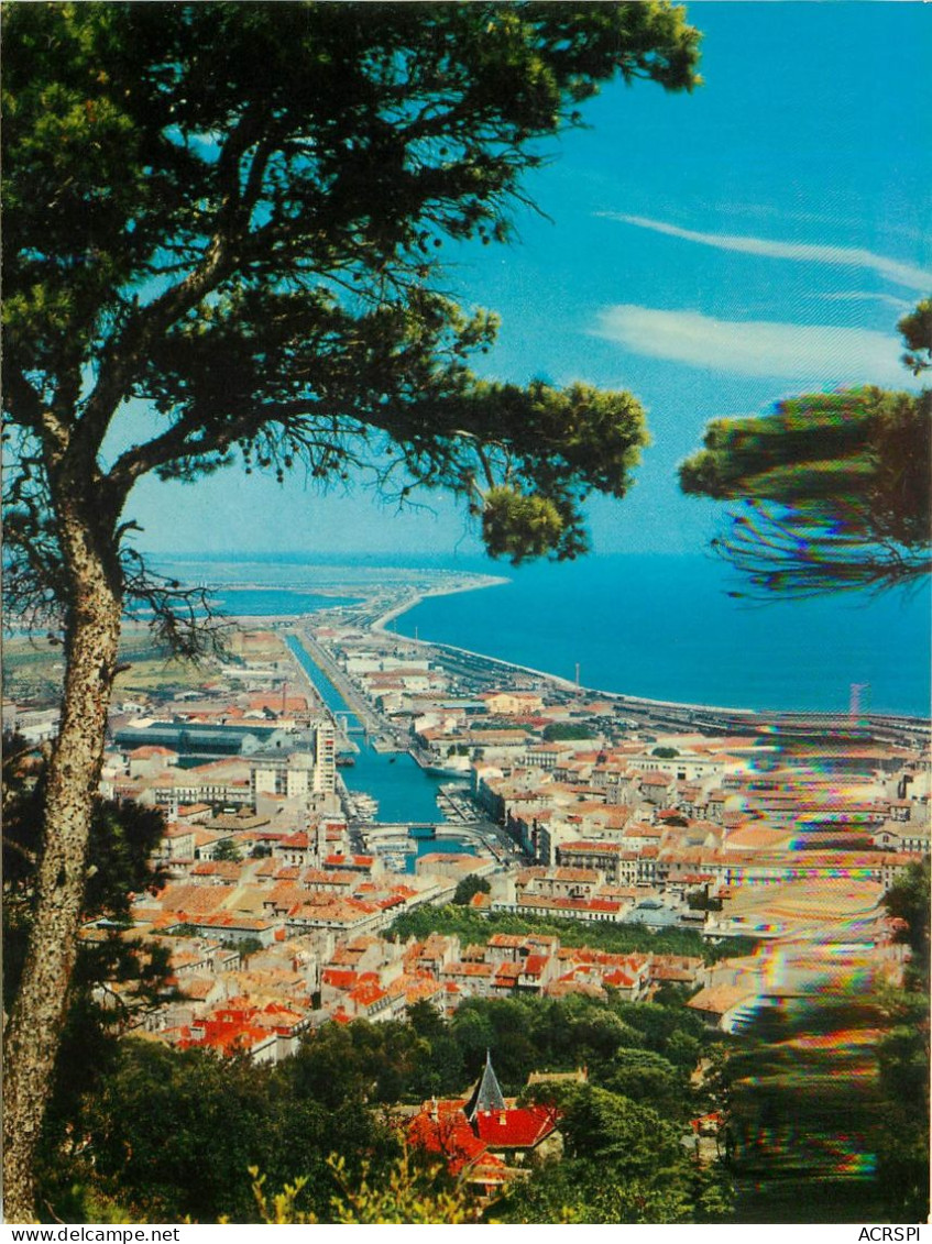 SETE Vue Generale Prise Du Mont St Clair 25(scan Recto-verso) MC2486 - Sete (Cette)