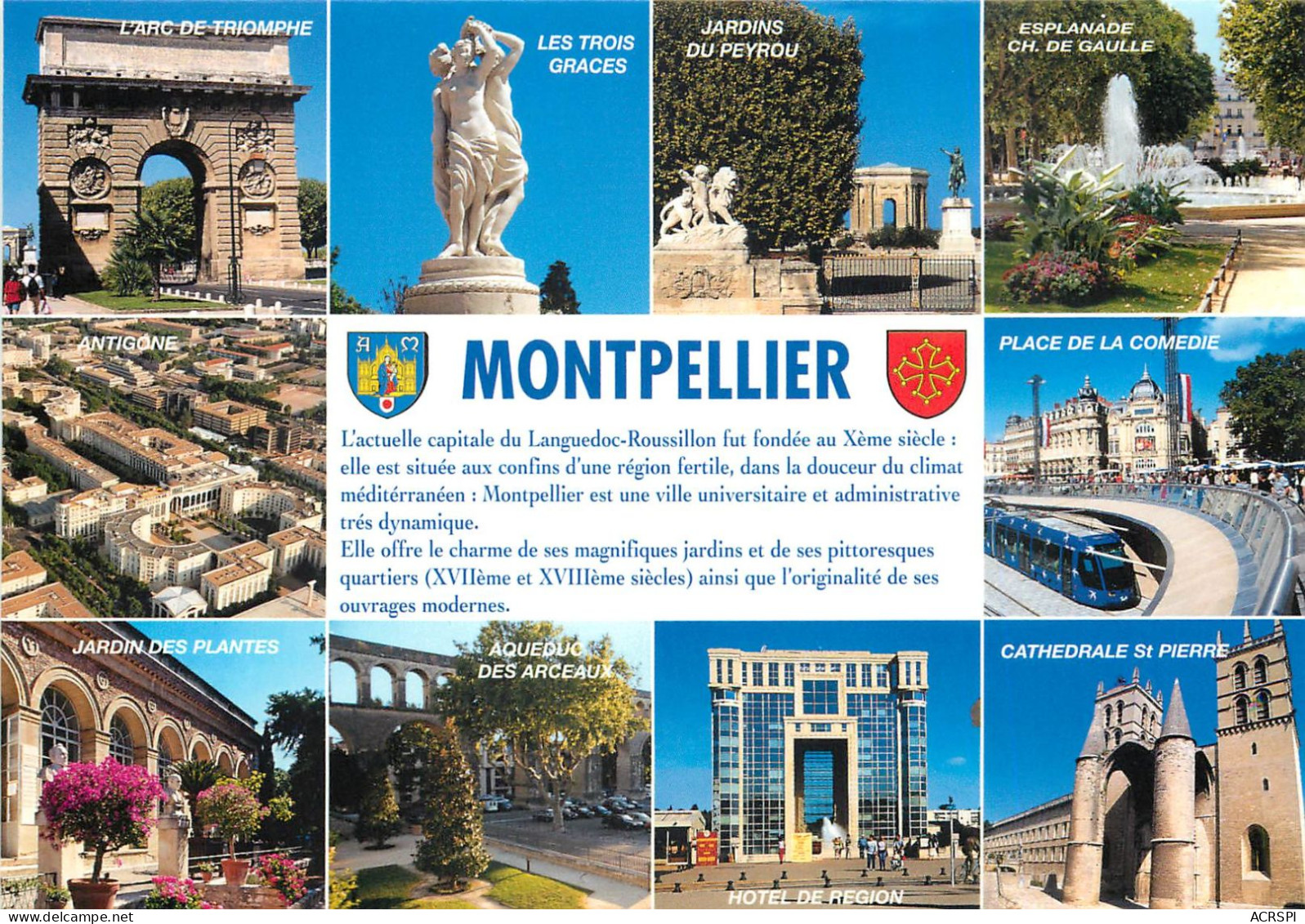 MONTPELLIER 14(scan Recto-verso) MC2480 - Montpellier