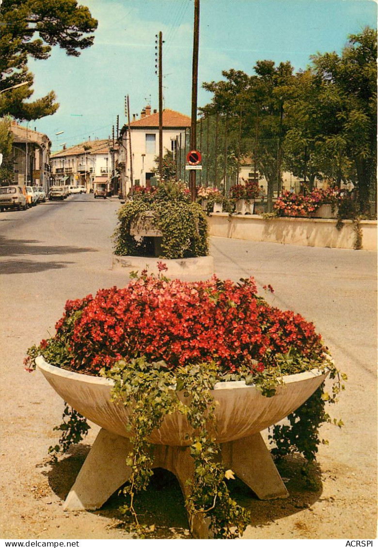 BALARUC LES BAINS 4(scan Recto-verso) MC2478 - Autres & Non Classés