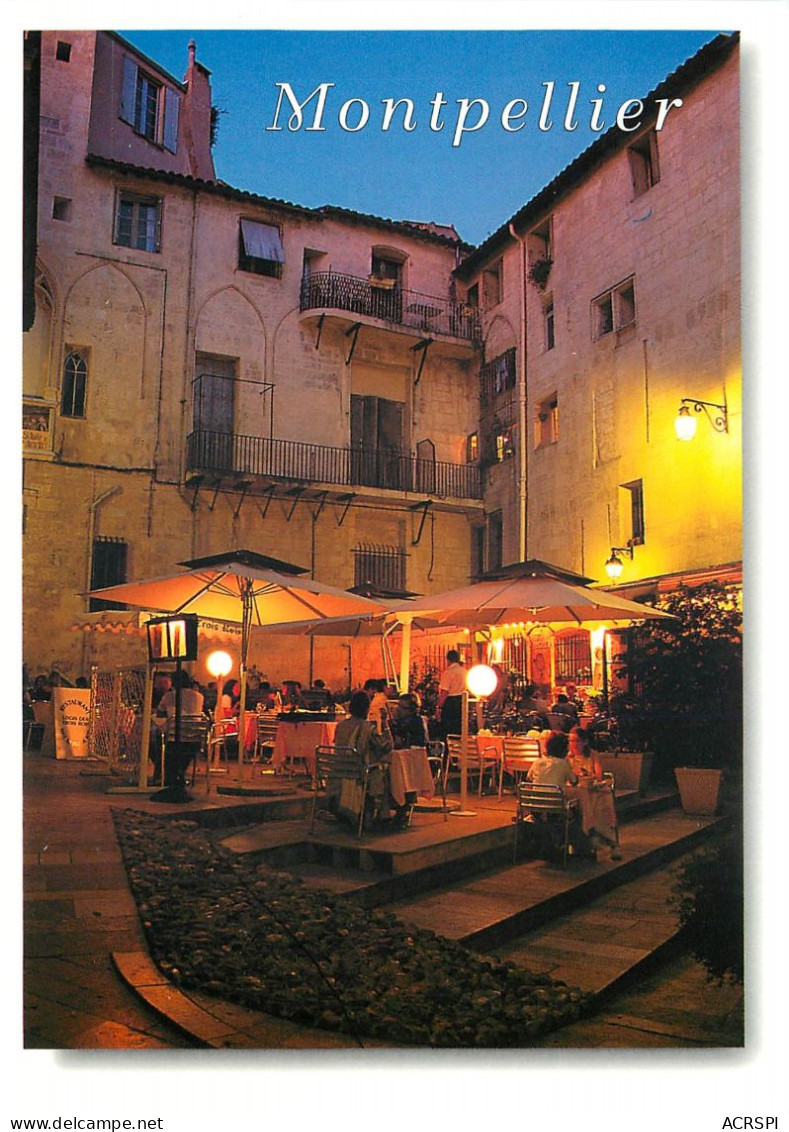 MONTPELLIER Place Saint Ravy 25(scan Recto-verso) MC2499 - Montpellier