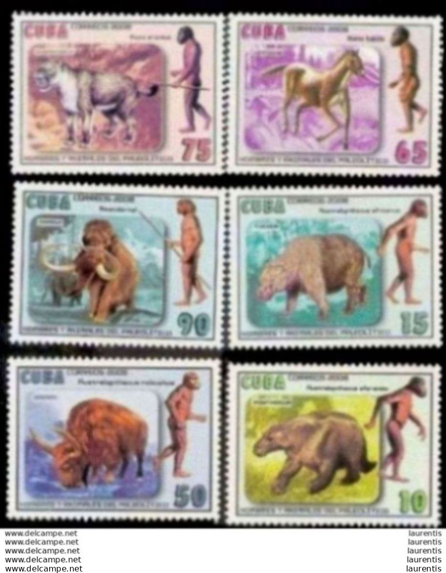 13477  Prehistoric Fauna - Prehistoric Men -  Prehistory - 2008 - No Gum - Cb - 1,50 . - Preistoria