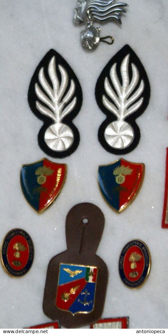 ITALIA, COLLEZIONE MOSTRINE, DISTINTIVI, FREGI DELL'ARMA DEI CARABINIERI - Police & Gendarmerie