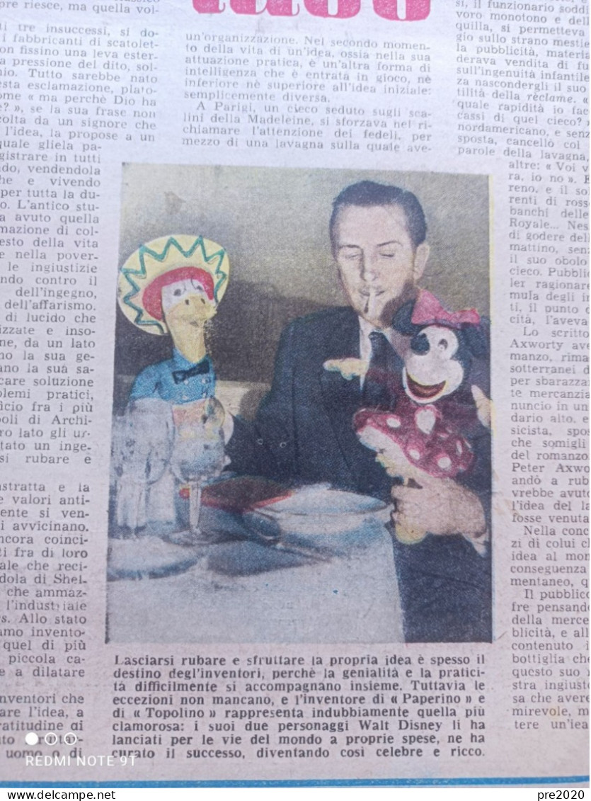 LA TRIBUNA ILLUSTRATA 1951 WALT DISNEY SUB PALOMBARI FLORIDIA ELSA MERLINI CLARA CALAMAI - Autres & Non Classés