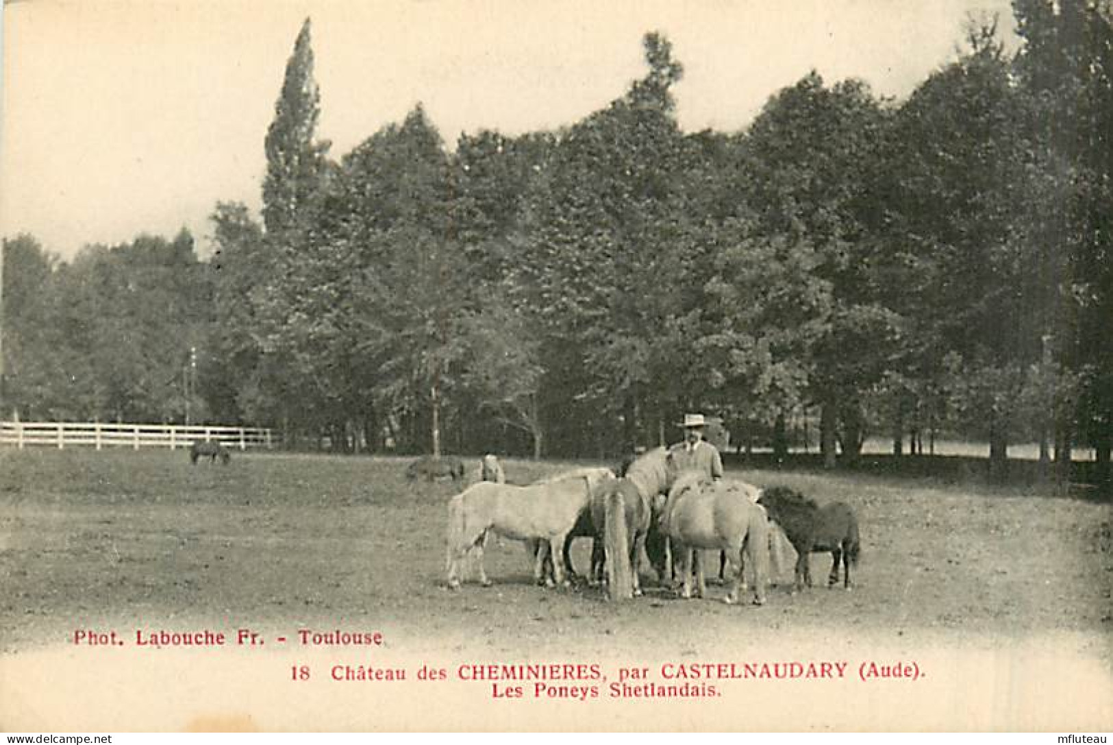 11* CHEMINIERES  Chateau –  Poneys    MA99,0766 - Autres & Non Classés